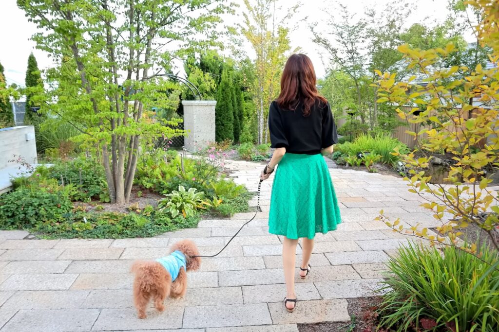 犬の散歩をする女性の後ろ姿の画像